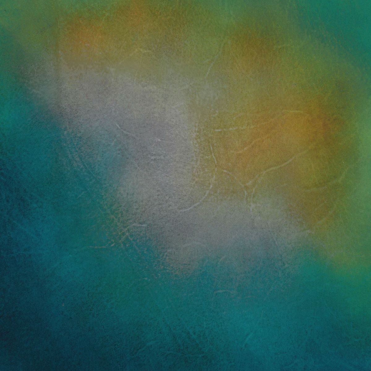 ACU023 ARTOCU by yuhaku 「ルリビタキ」 - yuhaku online shop