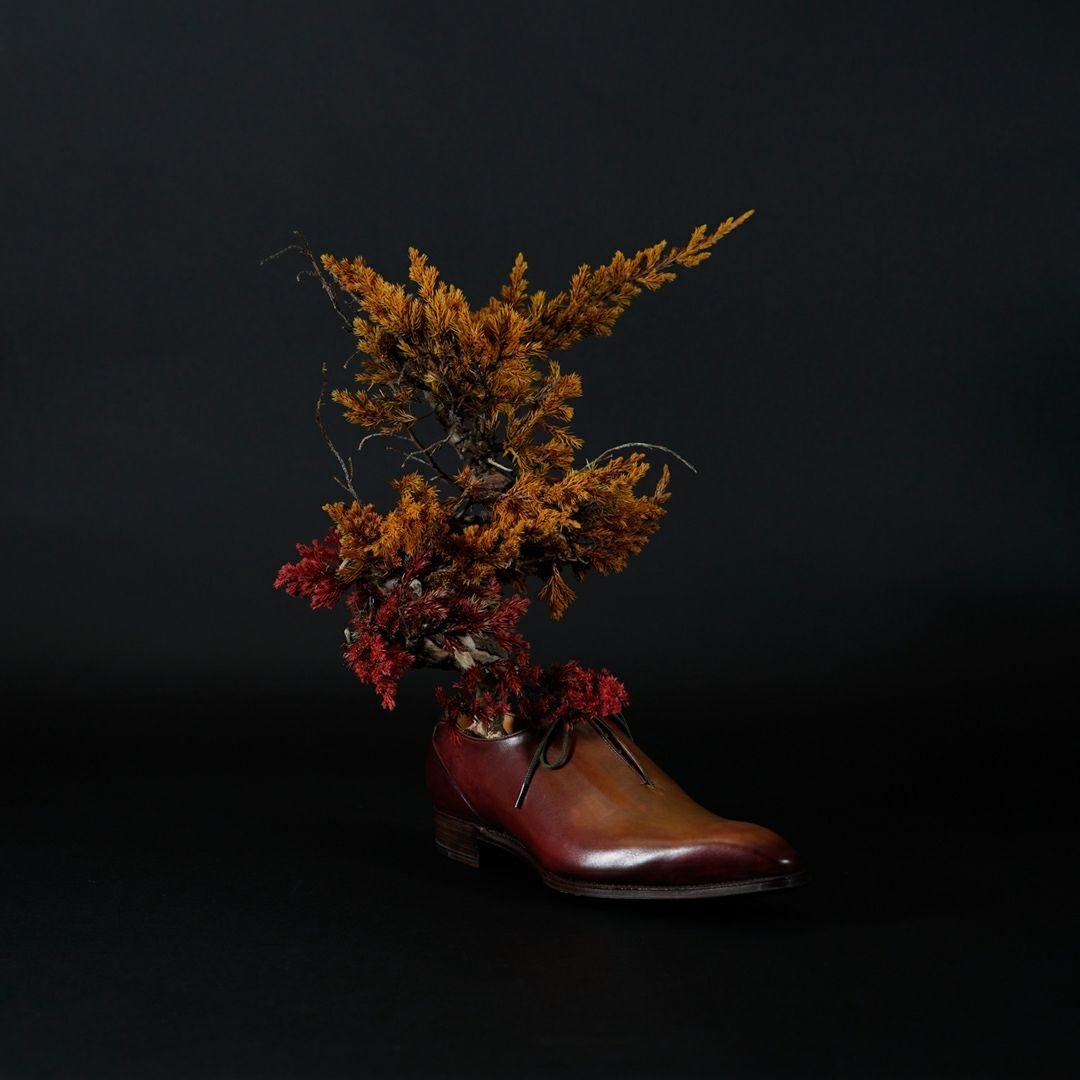 TNB-002 yuhaku Art Bonsai「Guika／グイカ」 ｜美しい色彩の革