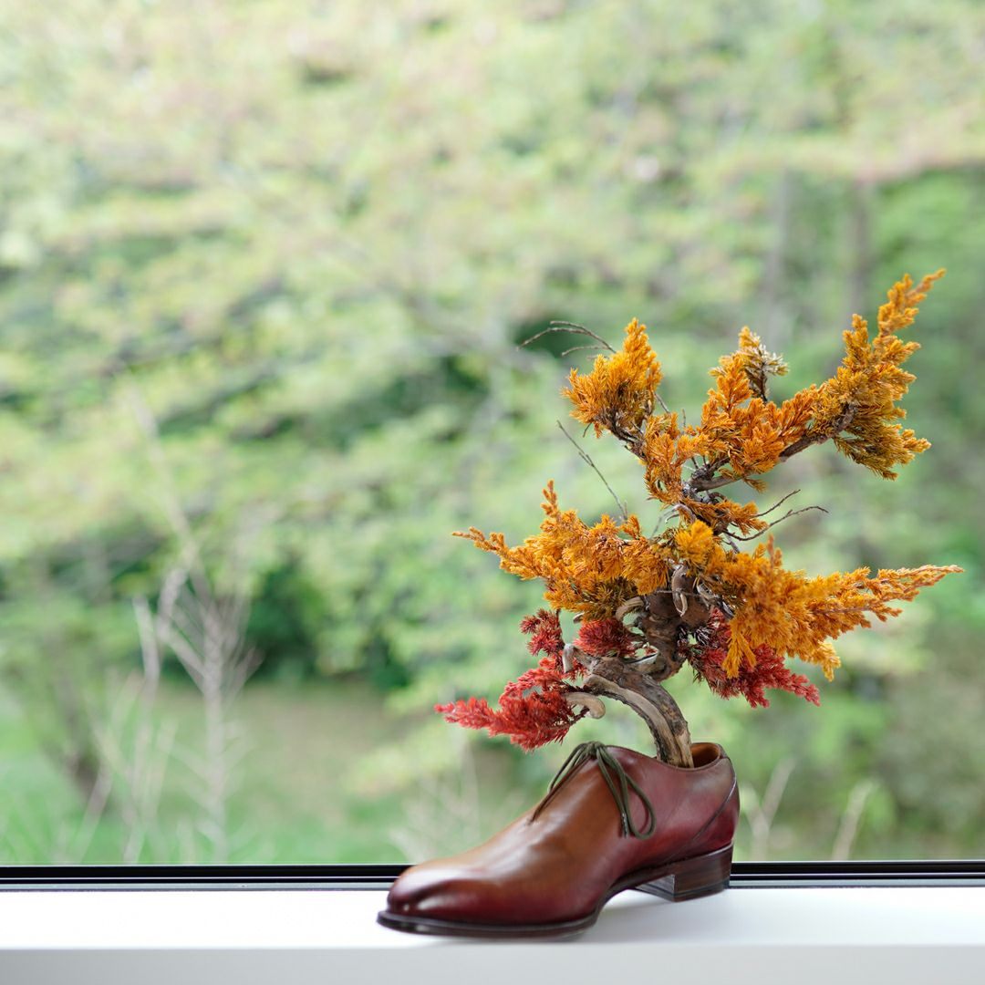 TNB-002 yuhaku Art Bonsai「Guika／グイカ」 ｜美しい色彩の革