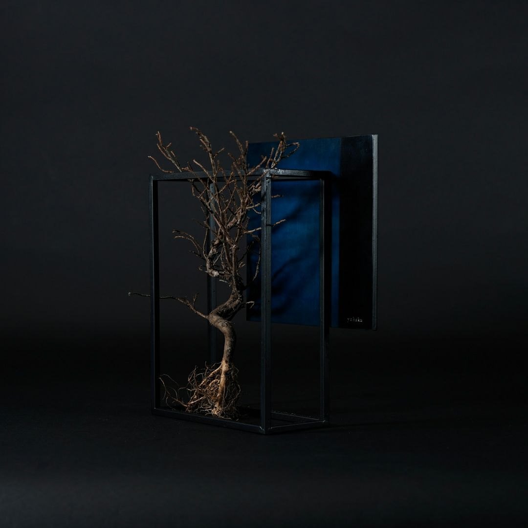 TNB - 003 yuhaku Art Bonsai「Ｓｋａｂｍａ／スカーマ」 - yuhaku online shop