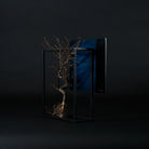 TNB - 003 yuhaku Art Bonsai「Ｓｋａｂｍａ／スカーマ」 - yuhaku online shop