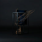 TNB - 003 yuhaku Art Bonsai「Ｓｋａｂｍａ／スカーマ」 - yuhaku online shop