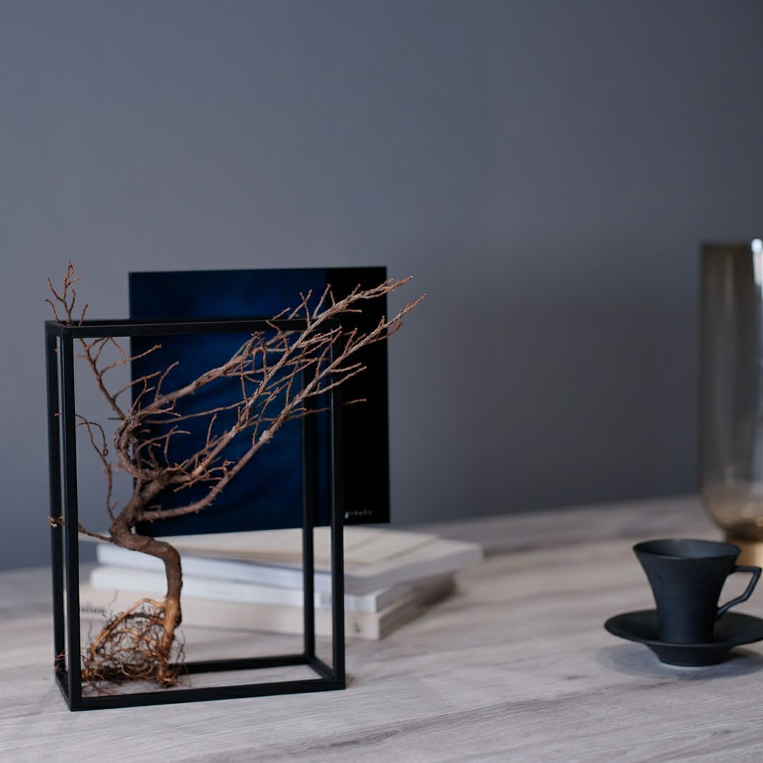 TNB - 003 yuhaku Art Bonsai「Ｓｋａｂｍａ／スカーマ」 - yuhaku online shop