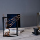 TNB - 003 yuhaku Art Bonsai「Ｓｋａｂｍａ／スカーマ」 - yuhaku online shop