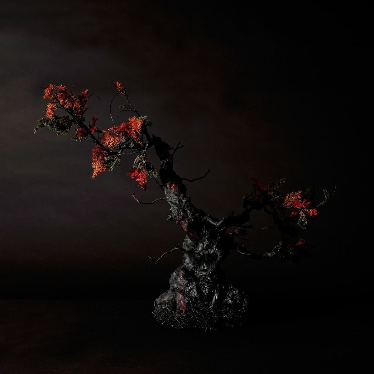TNB - 011 Feather Art 「イザナギノミコト」 TNB - 011 - yuhaku online shop