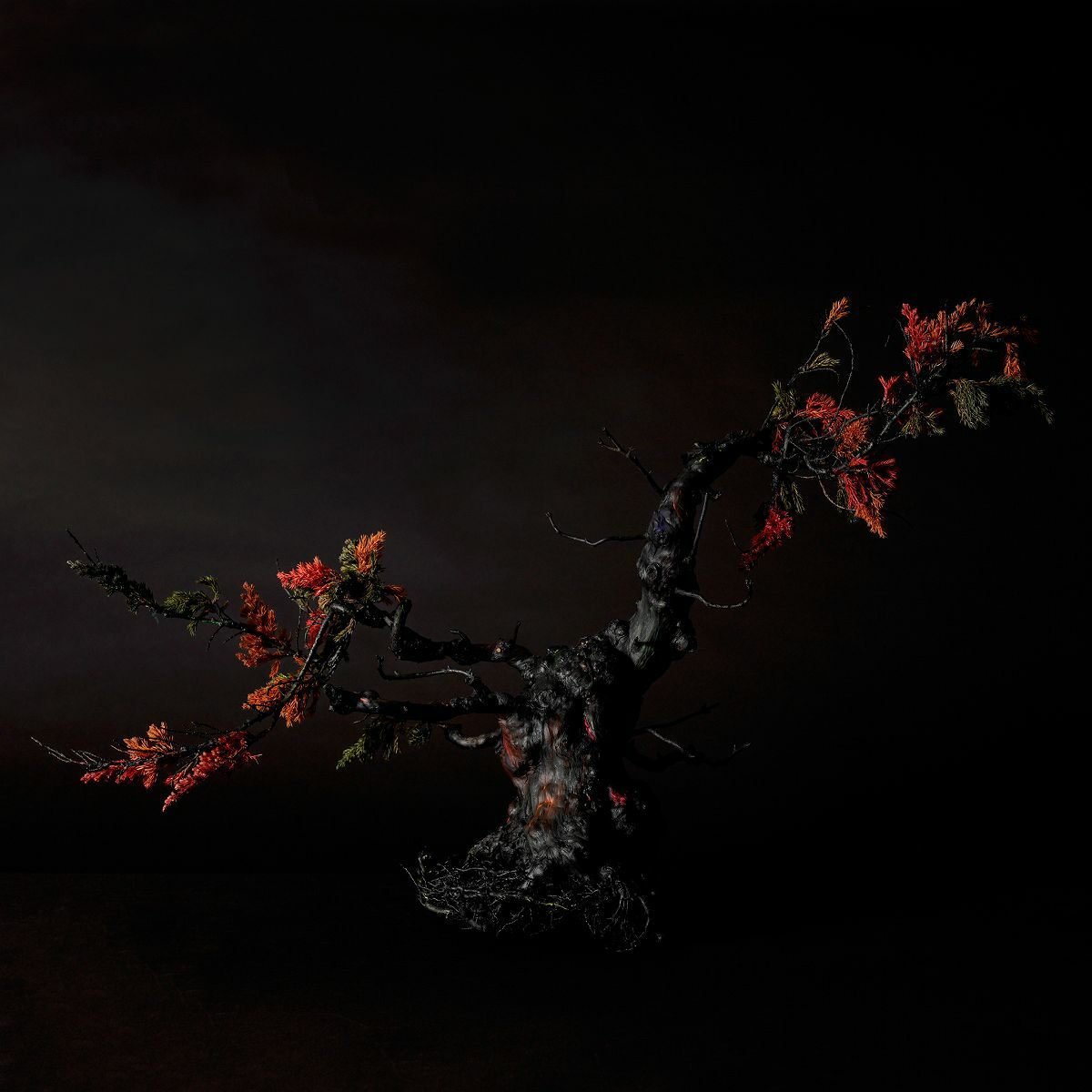 TNB - 011 Feather Art 「イザナギノミコト」 TNB - 011 - yuhaku online shop