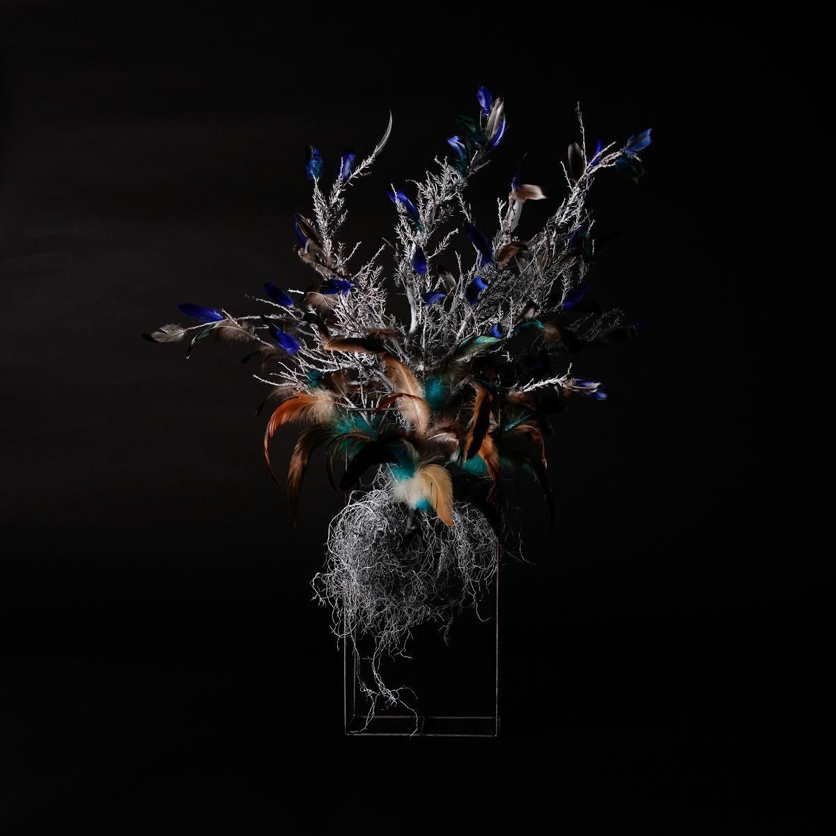 TNB-014 Feather Art 「ホウオウ-00」 TNB-014 ｜美しい色彩の革財布